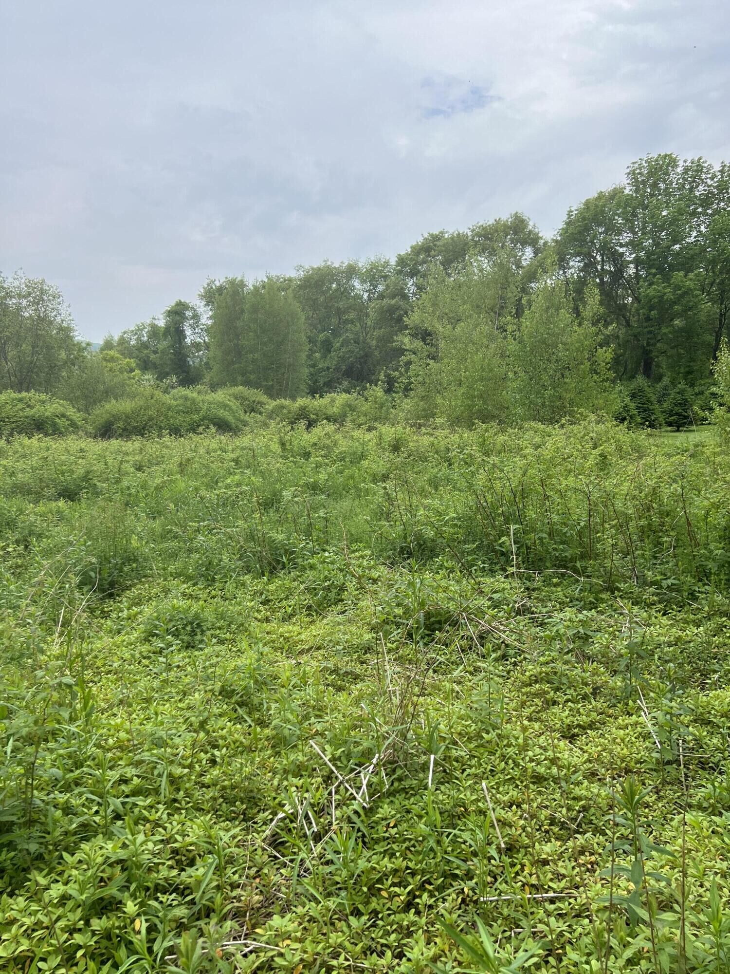 Property Photo: Lot A Hawthorne Drive ME 04856