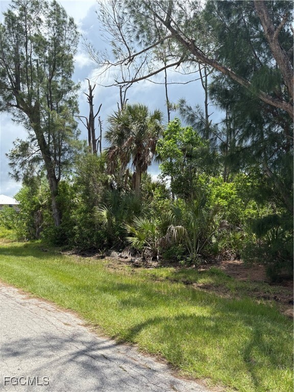 Property Photo: 3501 Tangerine Drive FL 33956