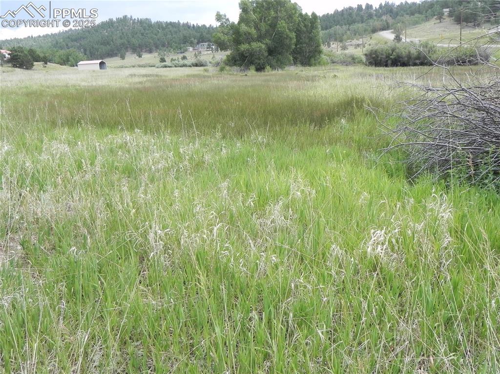 Property Photo: 6 Kiva Path CO 80827