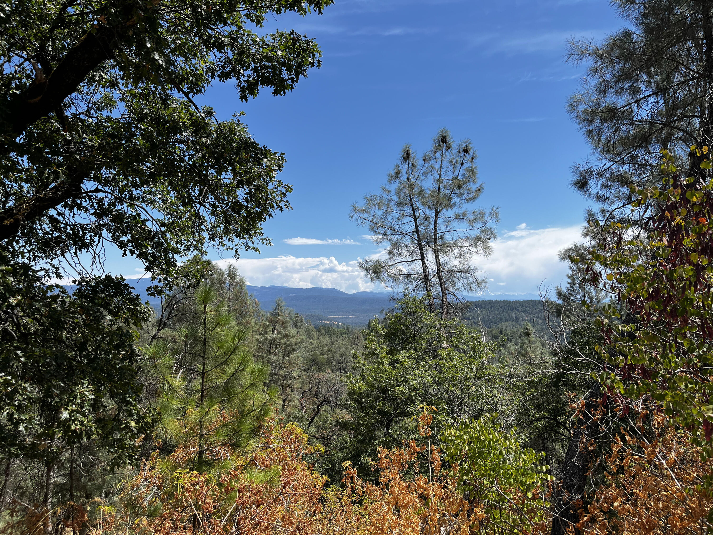 Property Photo:  Backbone Road  CA 96008 