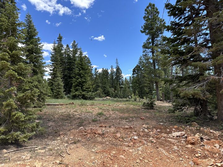 Property Photo: 1065 Redwood Rd UT 84762