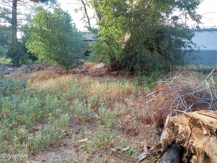 Property Photo: 3077 S Wagner Drive 529 AZ 86322