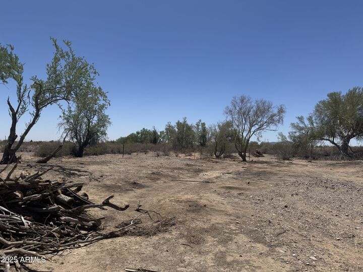 Property Photo:  7700 N Orangewood Avenue 3  AZ 85354 