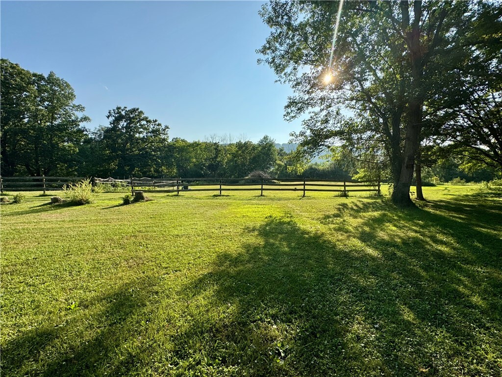 Property Photo:  1975 Fitzpatrick Hill Road  NY 14864 