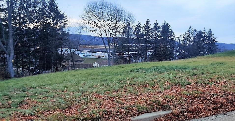 195 Greeley Avenue  Hornell NY 14843 photo