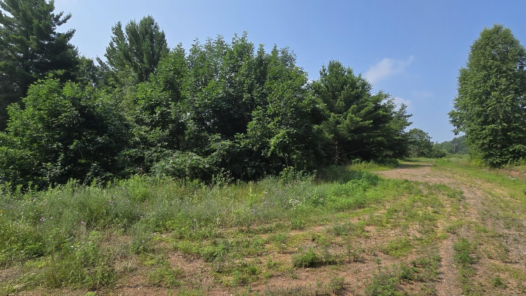 Property Photo:  35365 Old Orchard Ln  WI 54814 