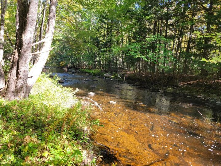 Property Photo:  286 Upper Hostile Valley Road  ME 04949 