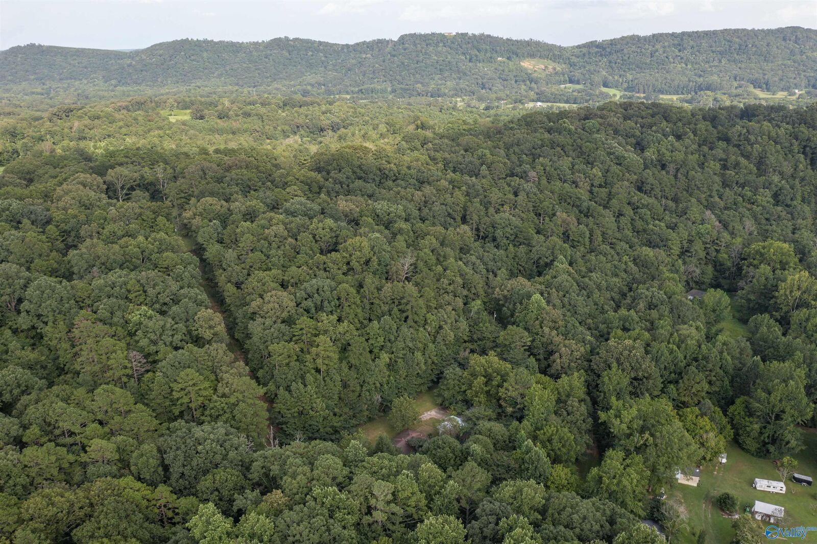 Property Photo: 160 Mill Hill Road AL 35954