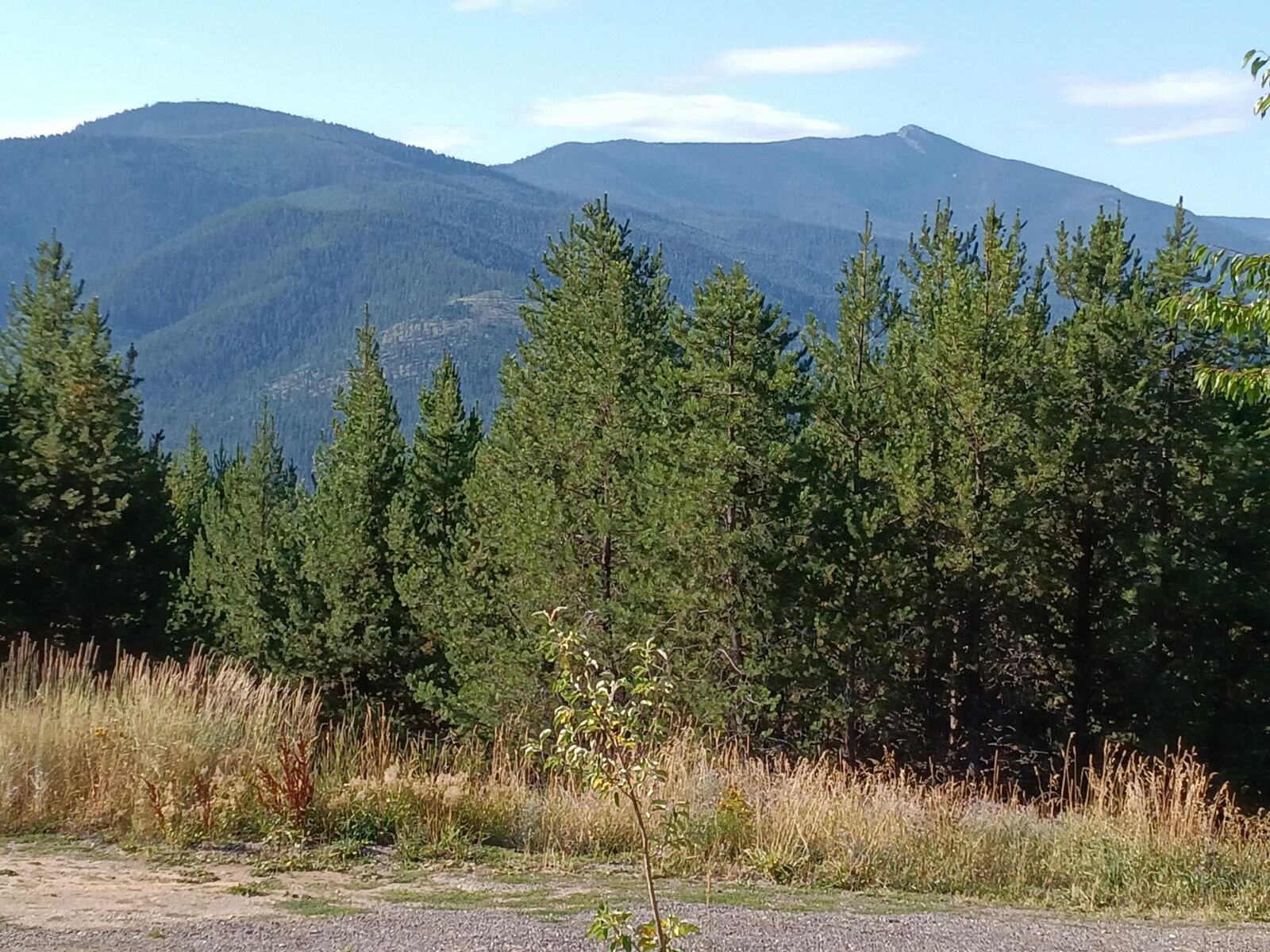 Property Photo: 632 Finley Road MT 59842
