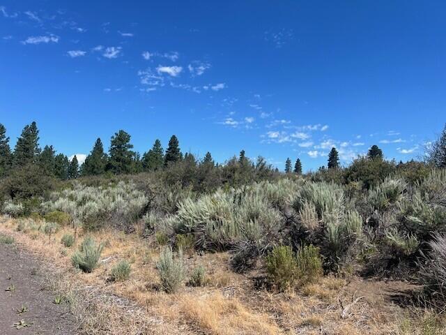 Property Photo:  Wrightwood Lot 16  OR 97624 