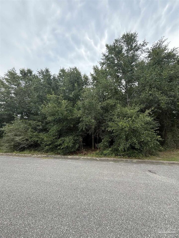 Property Photo:  046 Ashton Woods Cir  FL 32570 
