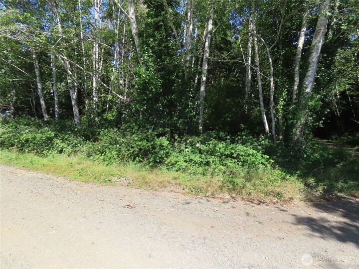 Property Photo:  0  Oregon Lane  WA 98520 