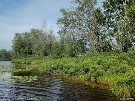 Property Photo: 0000 Tahquamenon River (Shore) MI 49868