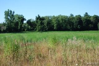 11154 Stage Road  Akron NY 14001 photo