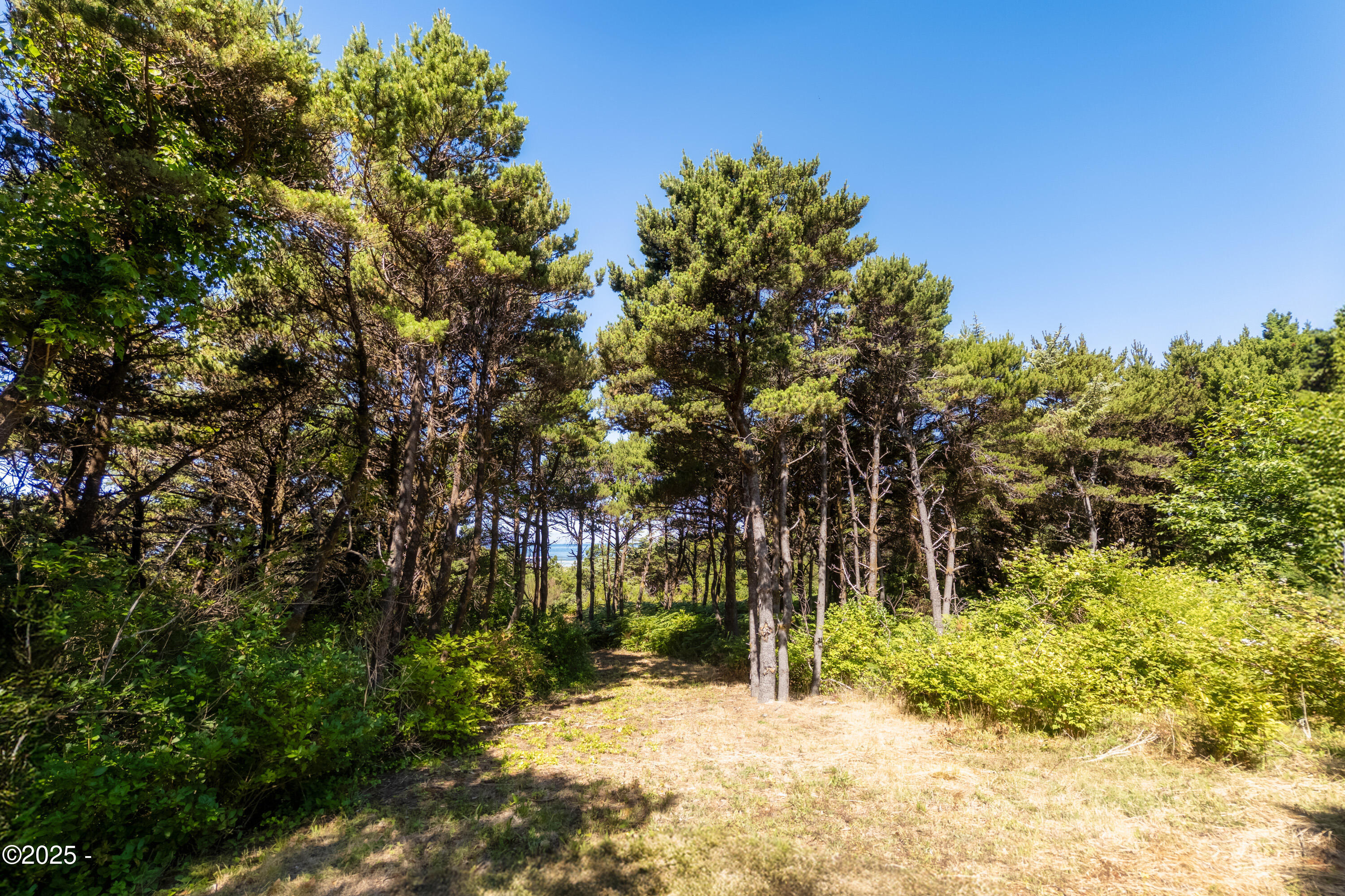 Property Photo: Tl 600 NW Pacific Coast Hwy OR 97394