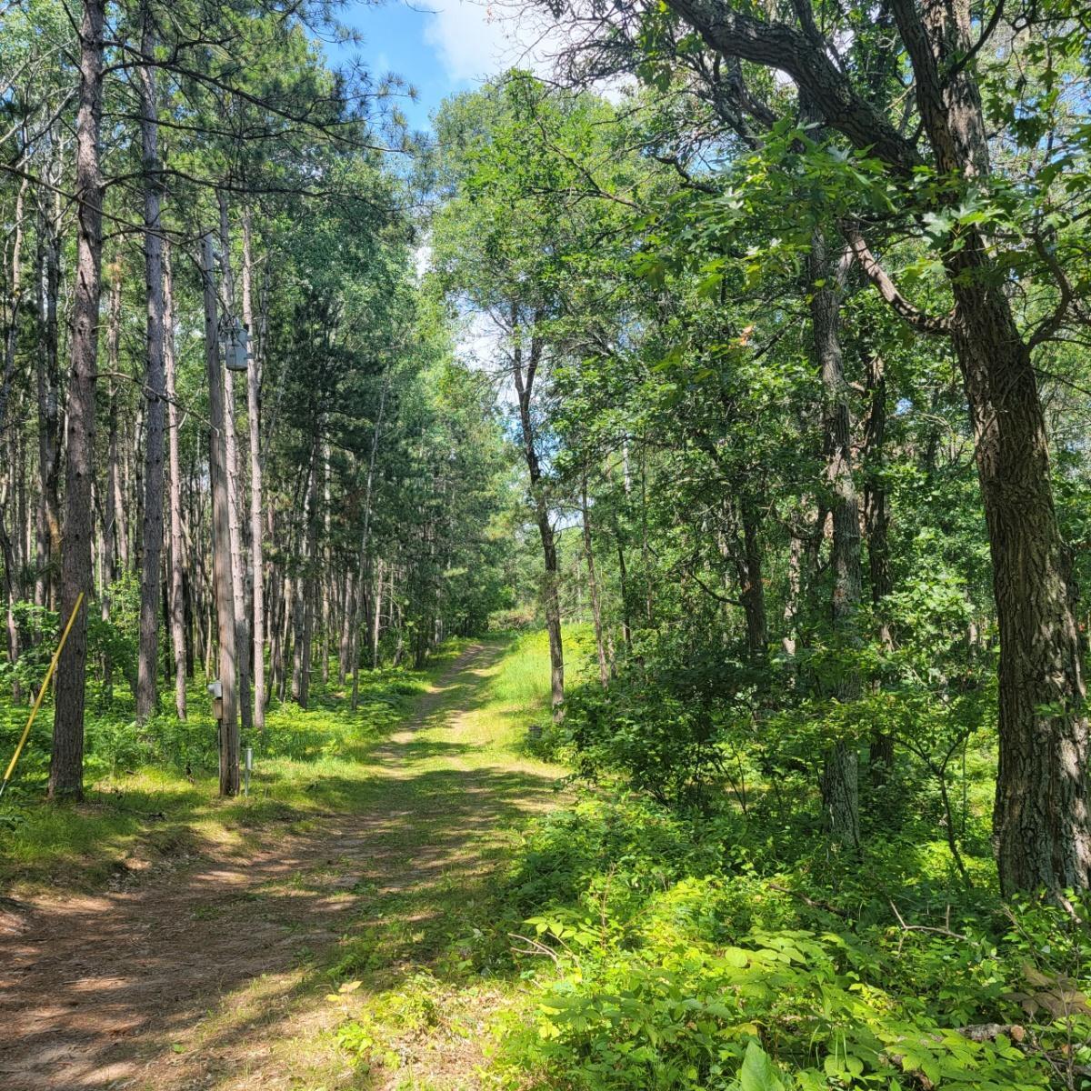 Property Photo:  14986 Big Stony Drive  MN 56470 