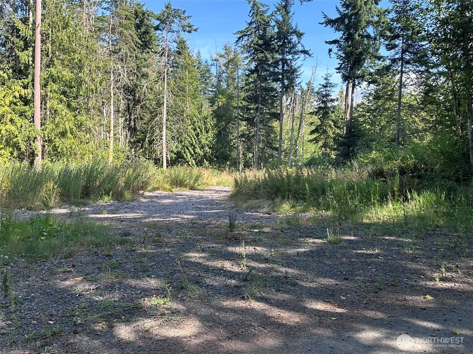 Property Photo: 144 Took A Look Lane WA 98382