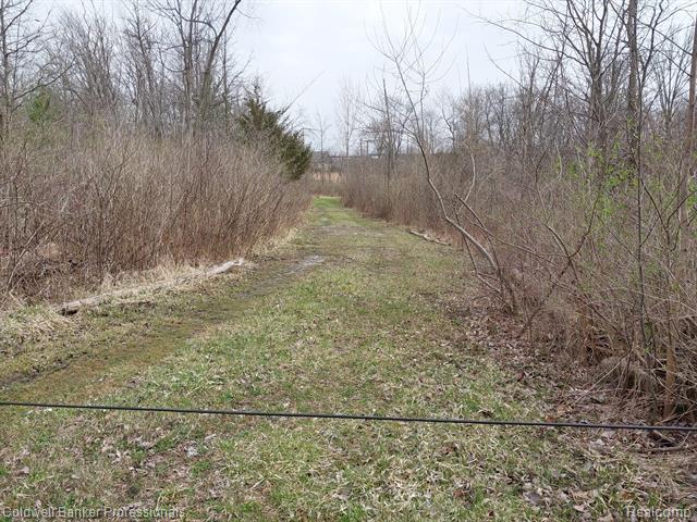Property Photo: 00 Rattle Run MI 48079