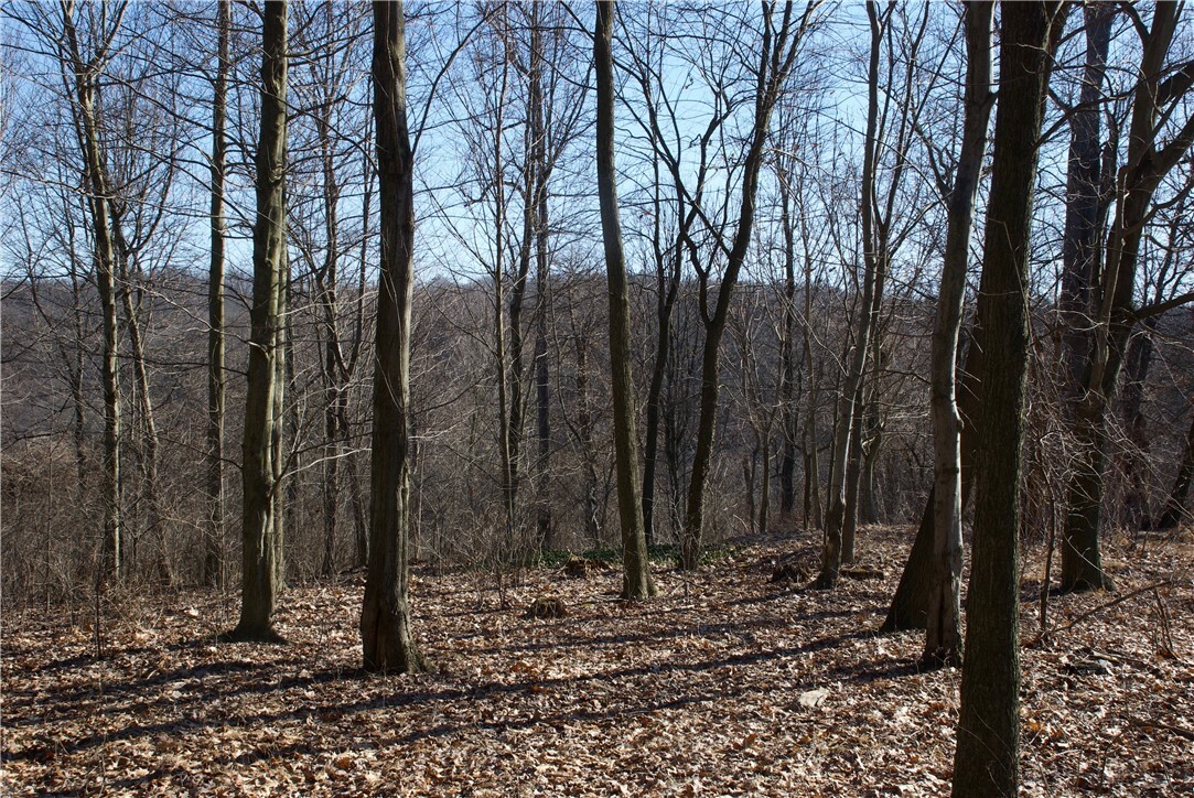 Property Photo:  0 Audubon Road  PA 15143 
