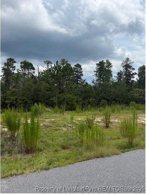 Property Photo:  646 Pittfield Run  NC 28326 