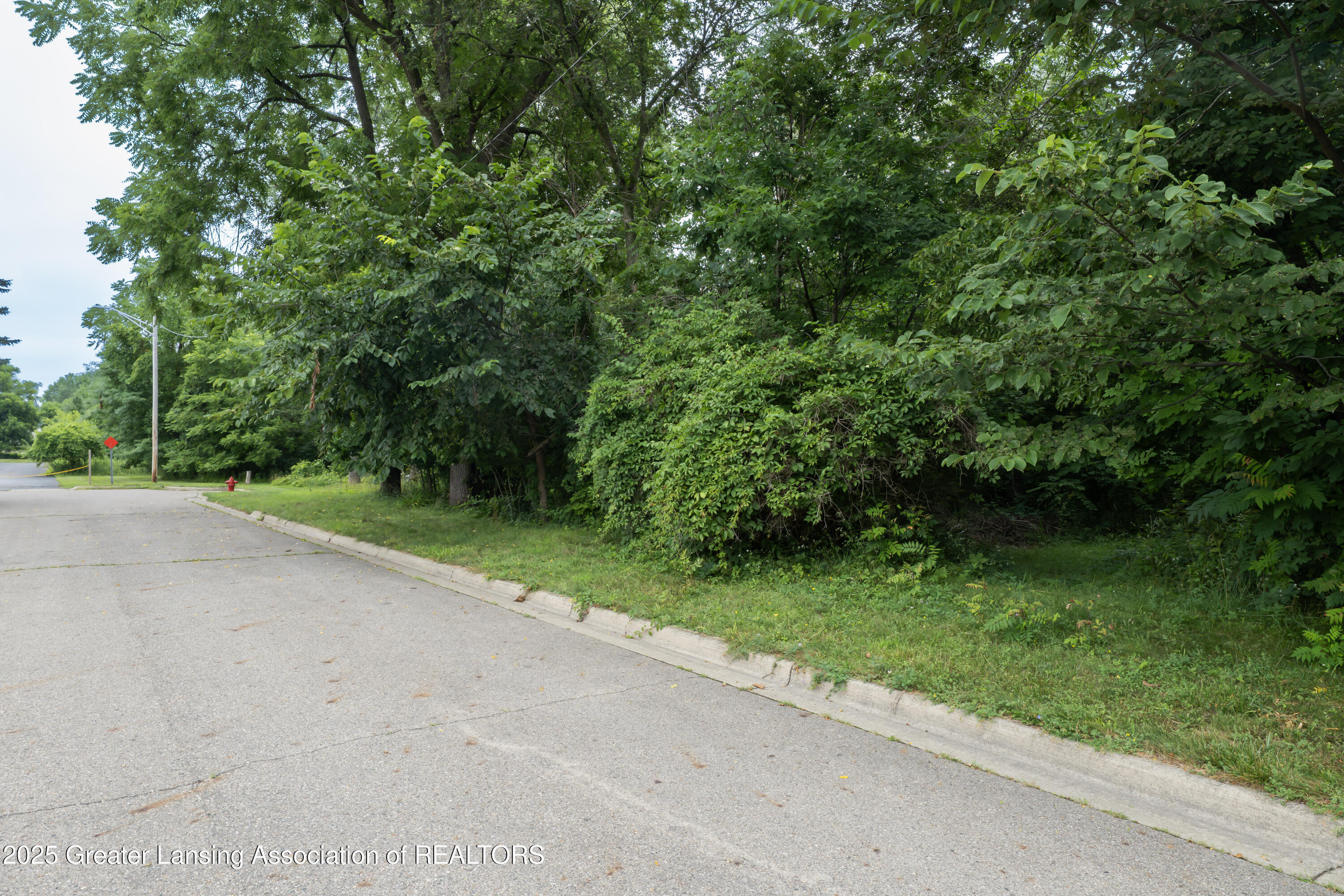 V/L Raymond Drive  Lansing MI 48906 photo