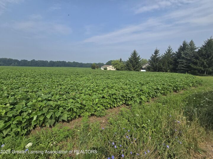 Property Photo: 2 Frost Rd MI 48875