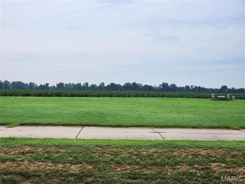 Property Photo:  809 Bollweevil Blvd  MO 63801 
