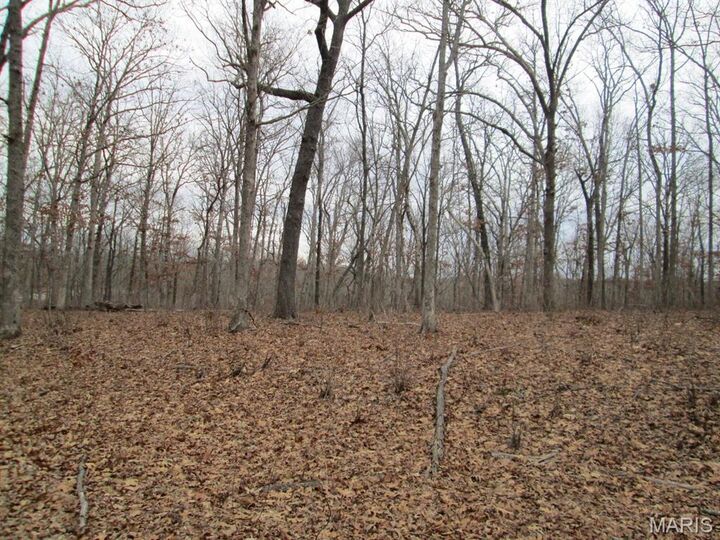 Property Photo: 0 Mo-30 Gravois Rd. 6 Ac MO 63077