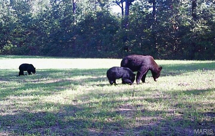Property Photo:  0 Tract 2 (160+/- Acres) Lodge Road  MO 65441 