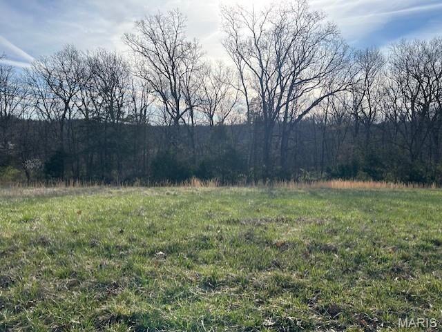 Property Photo: 20 Marshall Road MO 63090