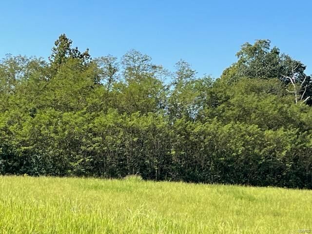Property Photo:  6 Lot  Ridgefield Drive  MO 63701 