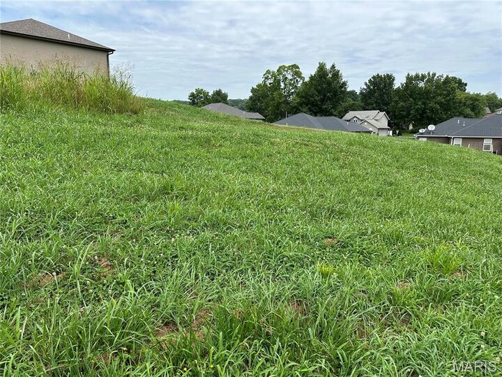 Property Photo: 3552 Mill View Crossing Way MO 63701