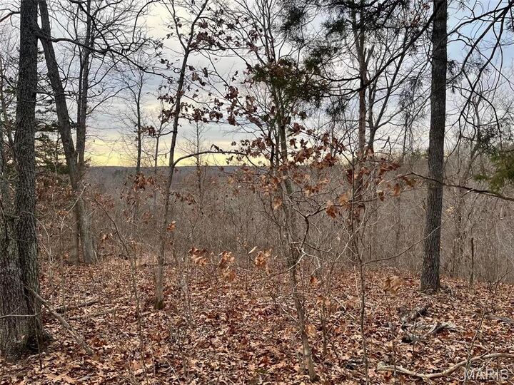 Property Photo: 0 125.87 Ac Tract1-A Clear Creek Road MO 63071
