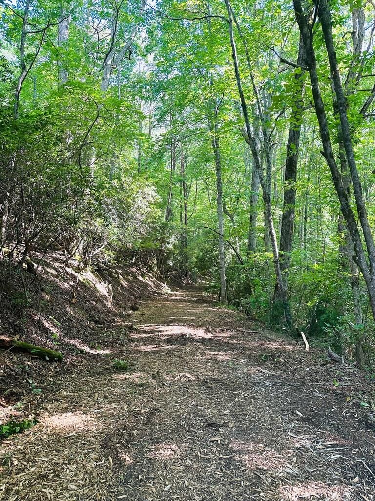 Property Photo: 13.25ac Pounding Mill Rd NC 28904