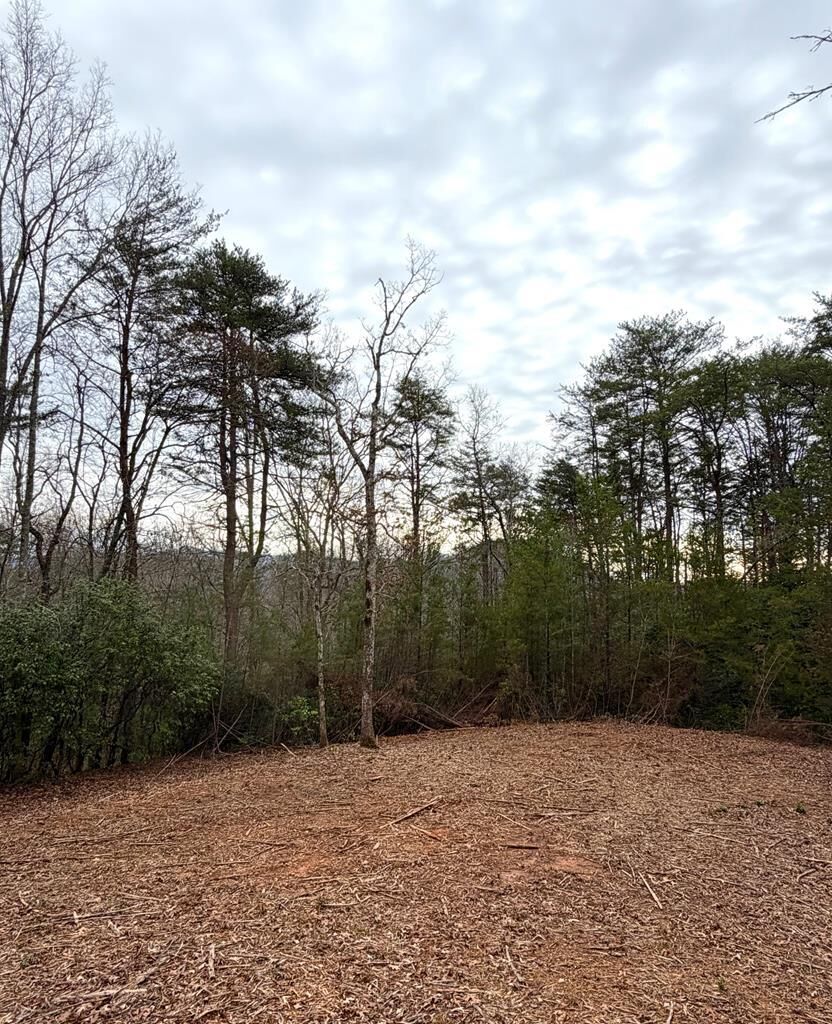 Property Photo: 13.25ac Pounding Mill Rd NC 28904
