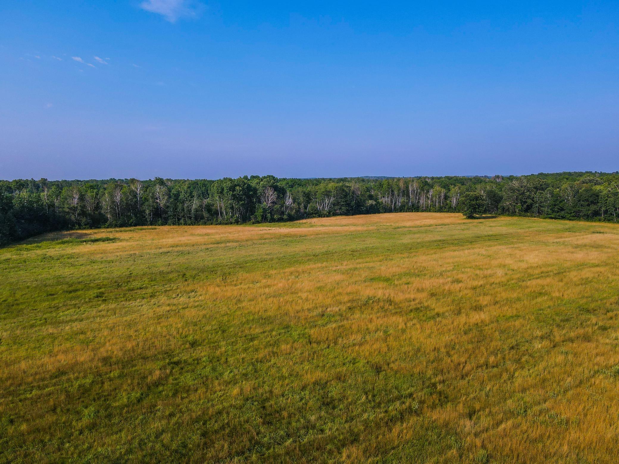 Property Photo:  Tbd 60th Street SW  MN 56479 