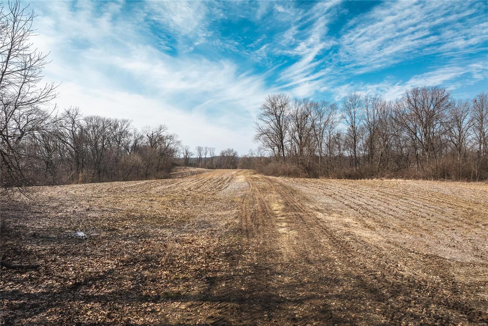 Property Photo: 0 Beaver Lake Road IL 62031