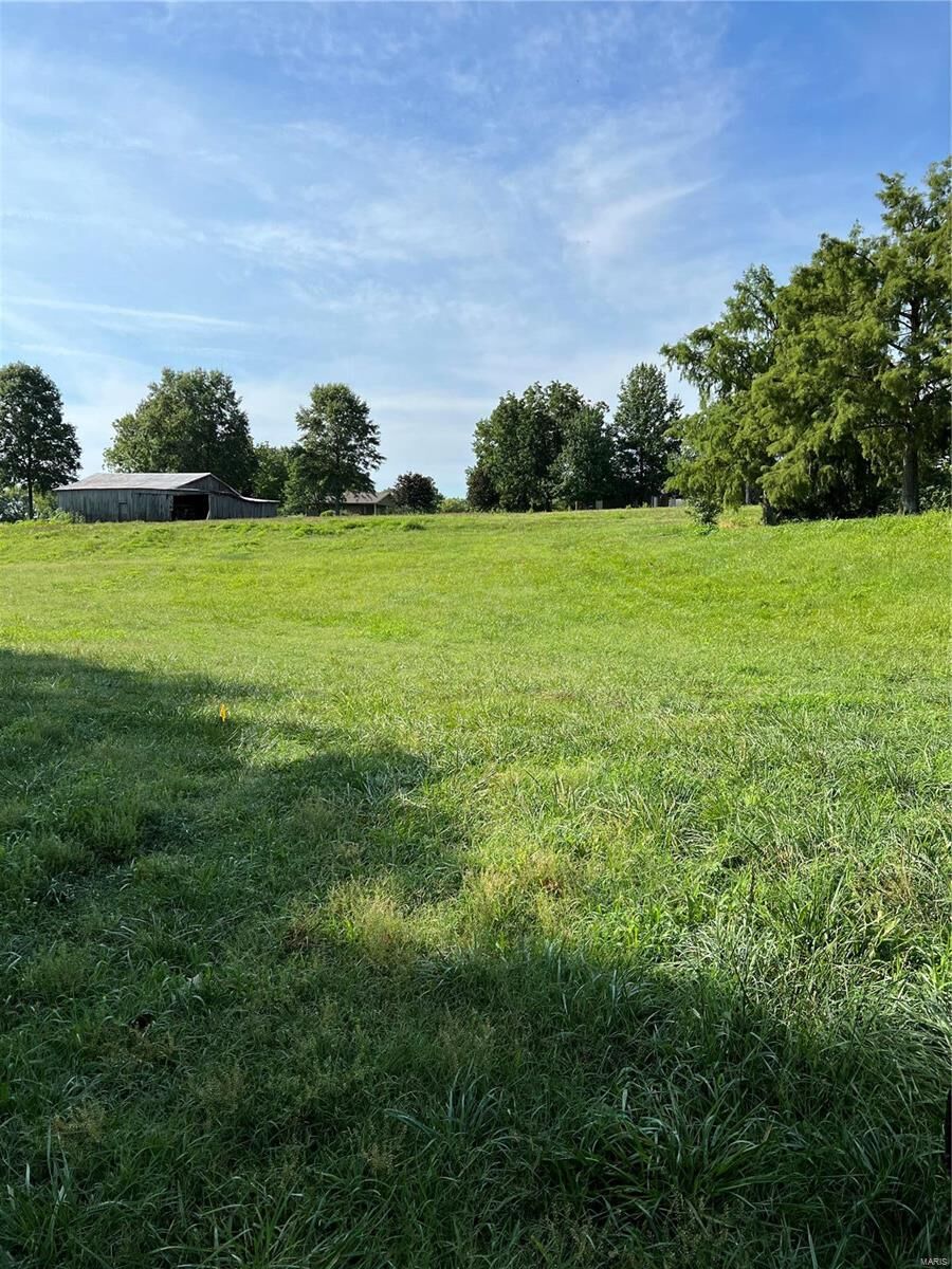 Property Photo:  0 09-1.0-12.00-004-002-002.00  MO 63736 