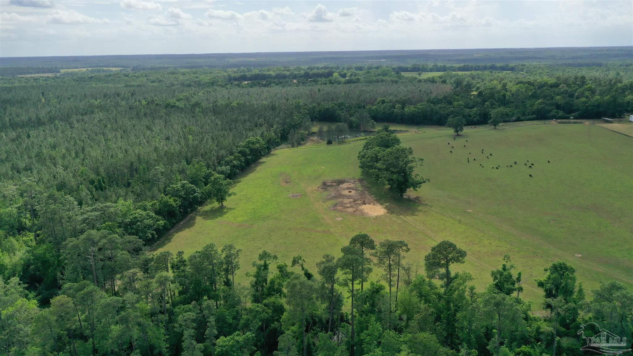 Lot 4 Hall Rd  Jay FL 32565 photo