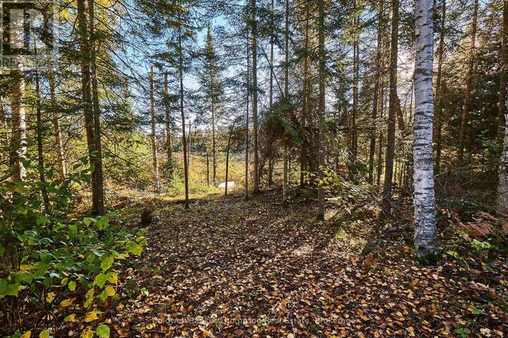 Property Photo:  0 River Road  ON P0A 1X0 
