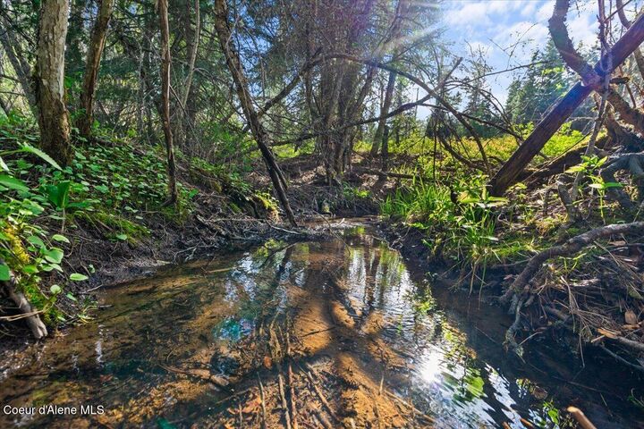 Property Photo:  Nka Mutch Creek Road  ID 83861 