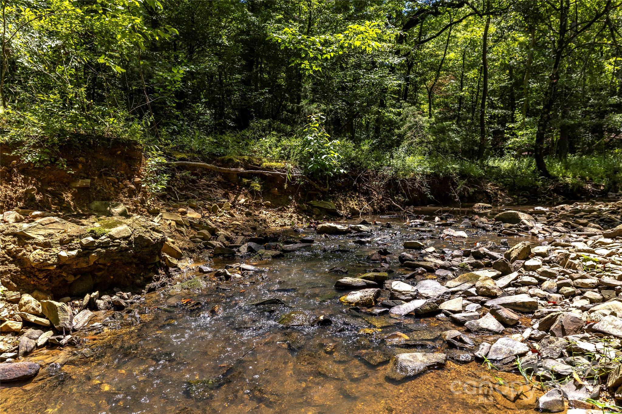 Property Photo: 0 Pageland Highway SC 29720