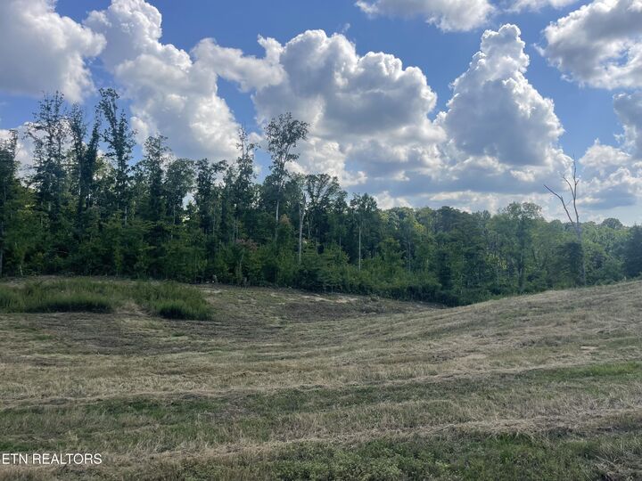 Property Photo:  Lot 16 Laura Boling Loop Rd  TN 37871 