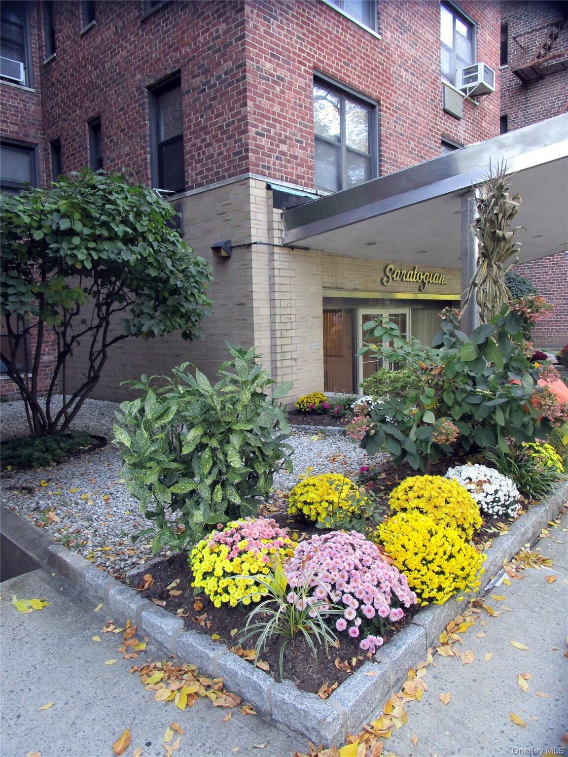 Property Photo: 4315 Webster Avenue 5F NY 10470