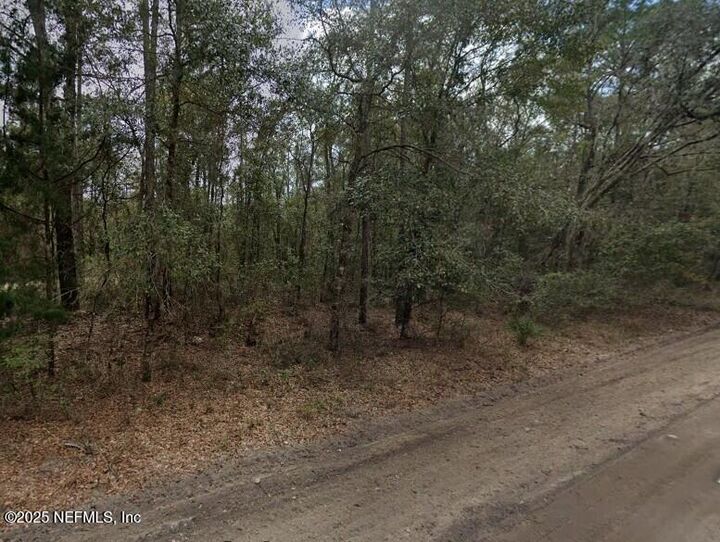 Property Photo: 0 Pilchard Road FL 32140