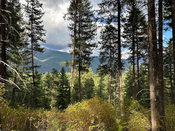 Property Photo: Nhn Mt Hwy 200 MT 59874