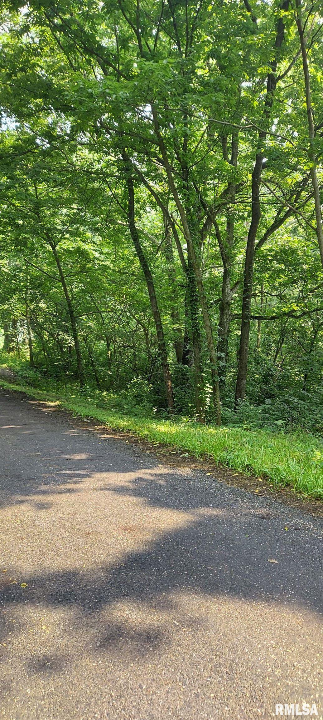 Property Photo:  0 W Bristol Hollow Road  IL 61525 