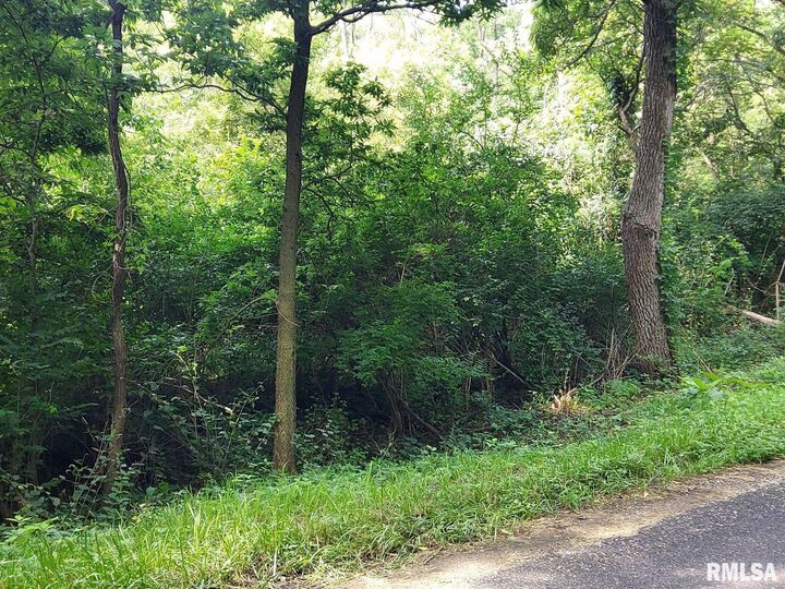 Property Photo:  0 W Bristol Hollow Road  IL 61525 