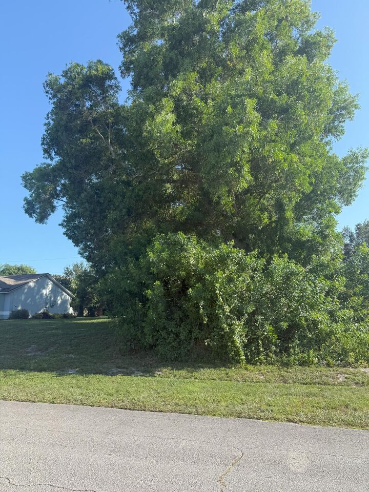 2808 SW Ann Arbor Road  Port Saint Lucie FL 34953 photo