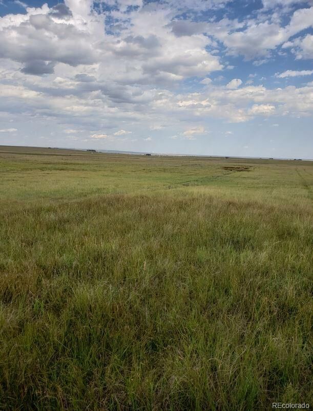 Property Photo: 8155 Cowboy Ranch View CO 80831